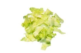Salade IceBerg 1kg Laniére c.4