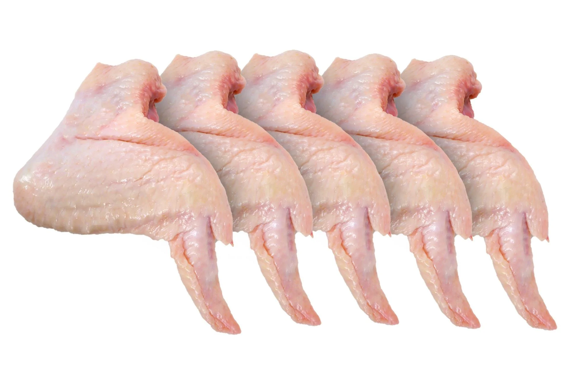 Ailes de poulet frais 5KG