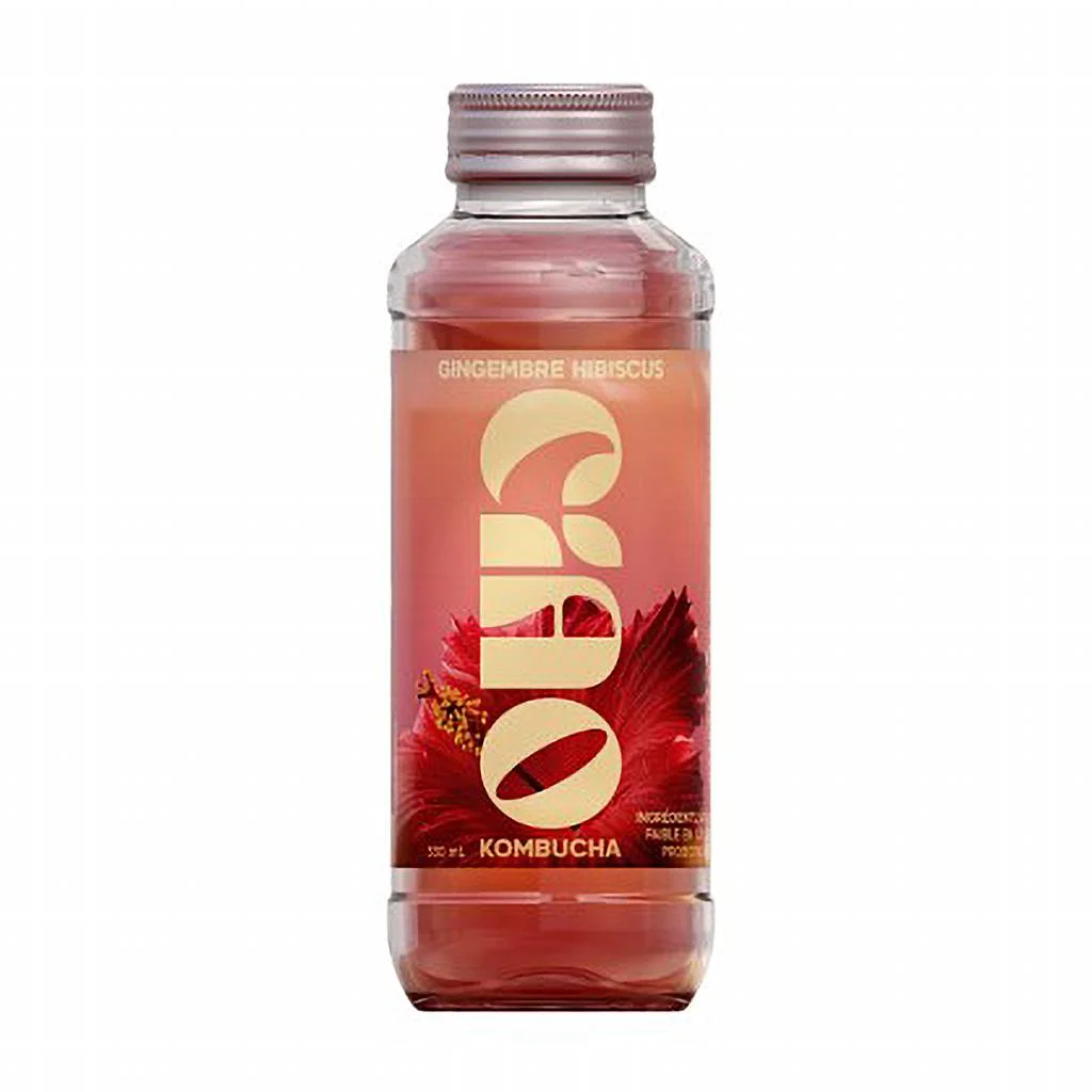 CIAO - Gingembre Hibiscus 330mL x6