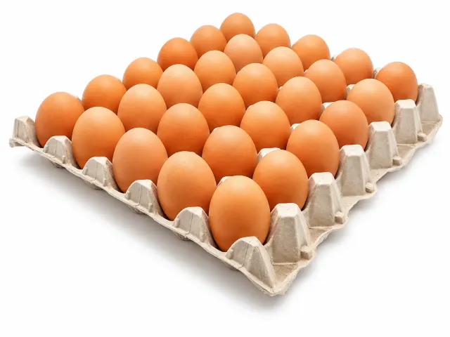 OEUFS moyen x30 6crt/pl PE240