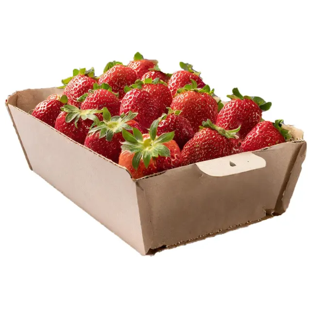 BARQUETTE FRAISE 500G