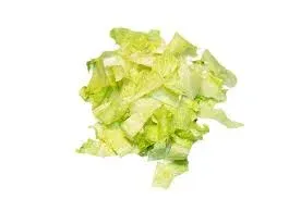 Salade IceBerg 1kg Laniére c.4