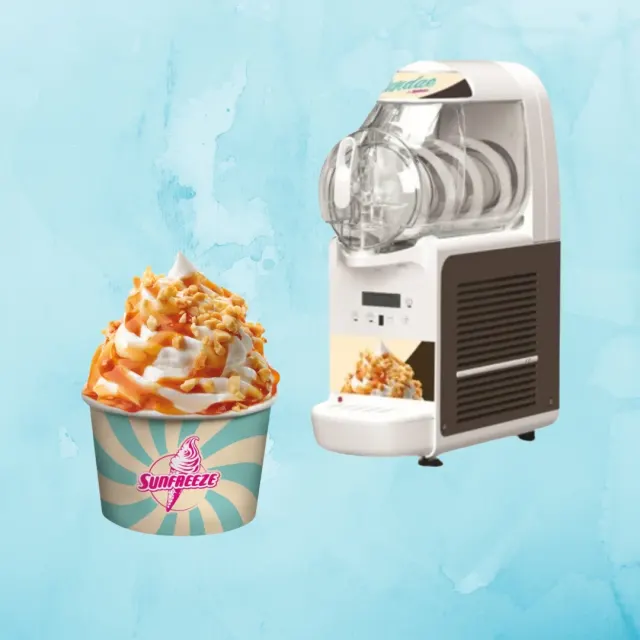 Machine a Glace - 6 Litres | Sunfreez