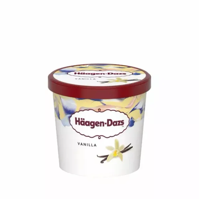 Haagen Dazs Mini Pot Vanilla 95ml (70g)