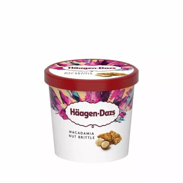 Haagen Dazs Mini Pot Macadamia Nut Brittle 95ml (81g)